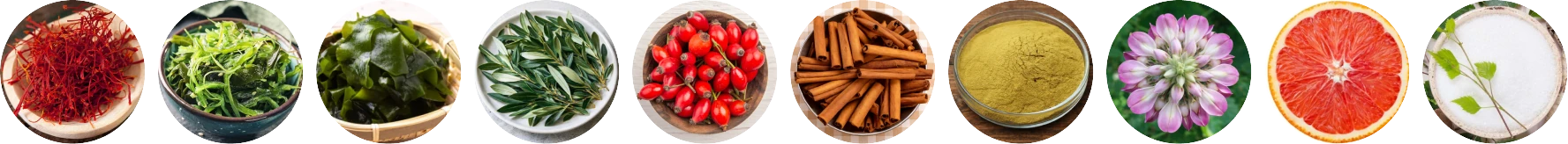 MemoVolt ingredients